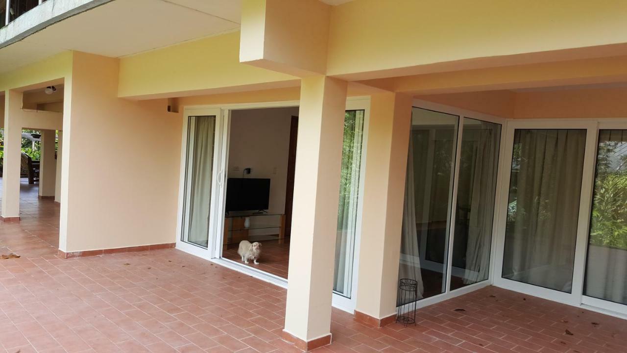 Gamboa Apartment Toucan Y Studio Neque Dış mekan fotoğraf